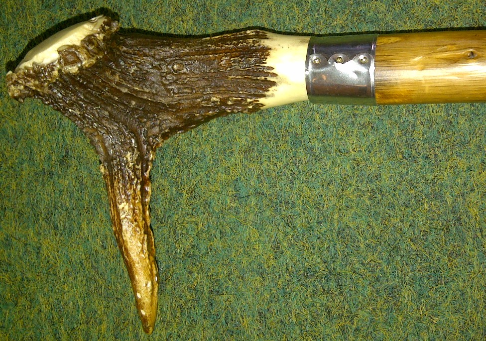 Herrenspazierstock Wurzelstock mit Hirchhorngriff  art.11000950