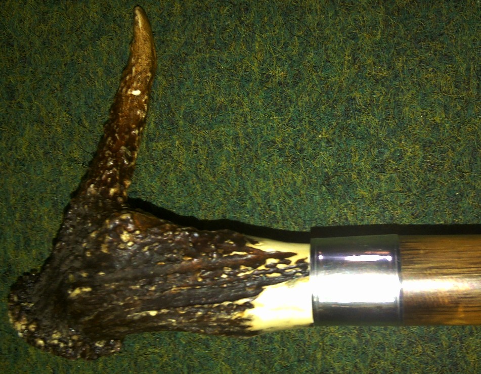 Herrenspazierstock Wurzelstock mit Hirchhorngriff  art.11000950